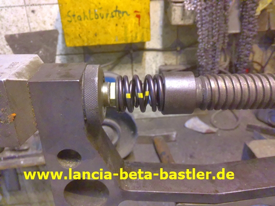 ANMP0253 ANMP0253