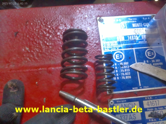 ANMP0269 ANMP0269