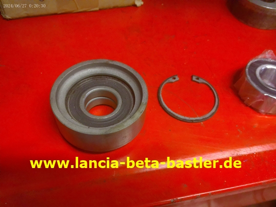 ANMP0290