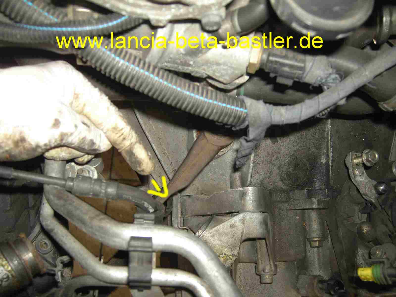 Aktivierung der Kupplung Lancia Lybra Aktivierung der Kupplung Lancia Lybra