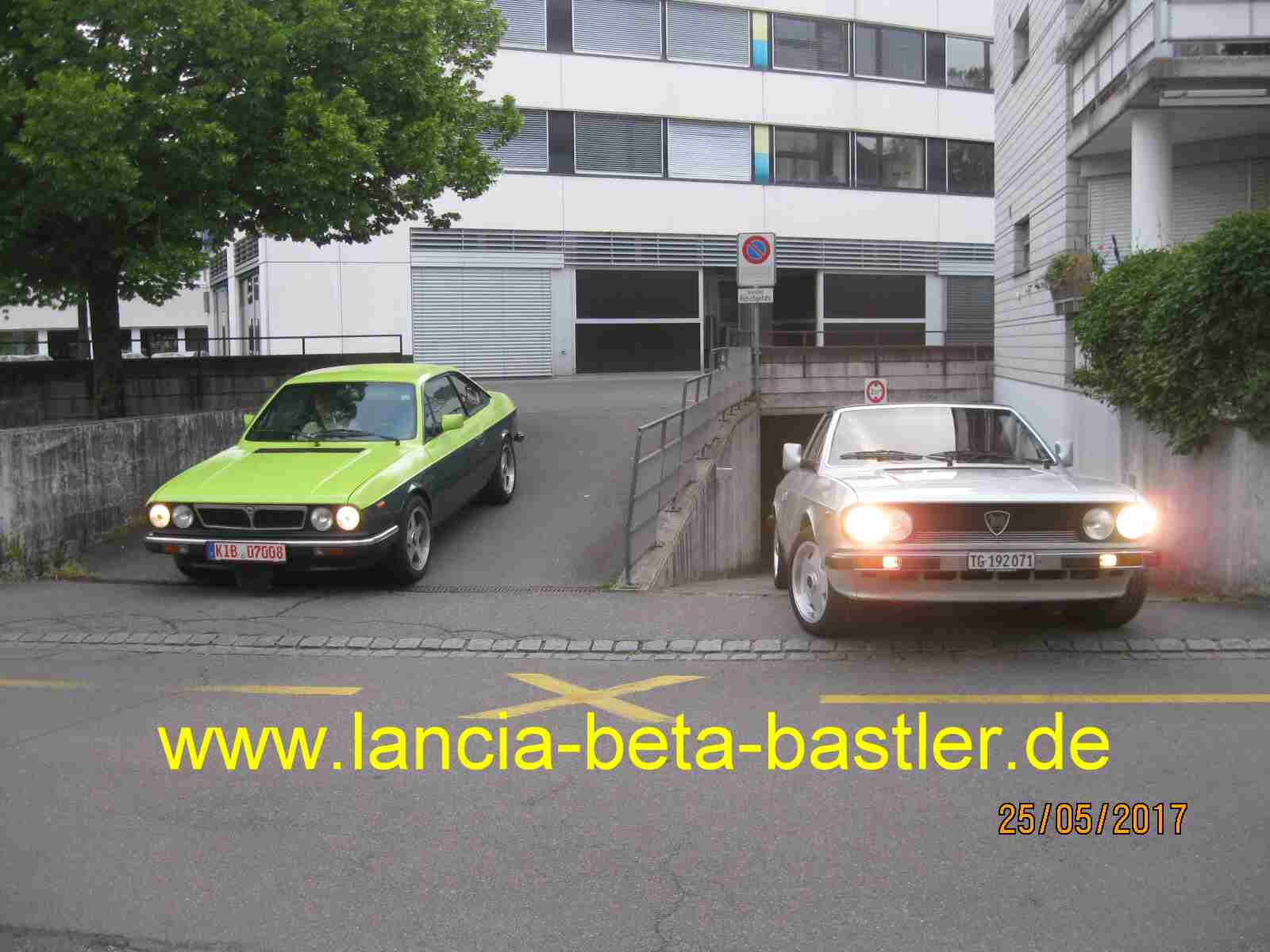 Betas verlassen ihren Bau Betas verlassen ihren Bau