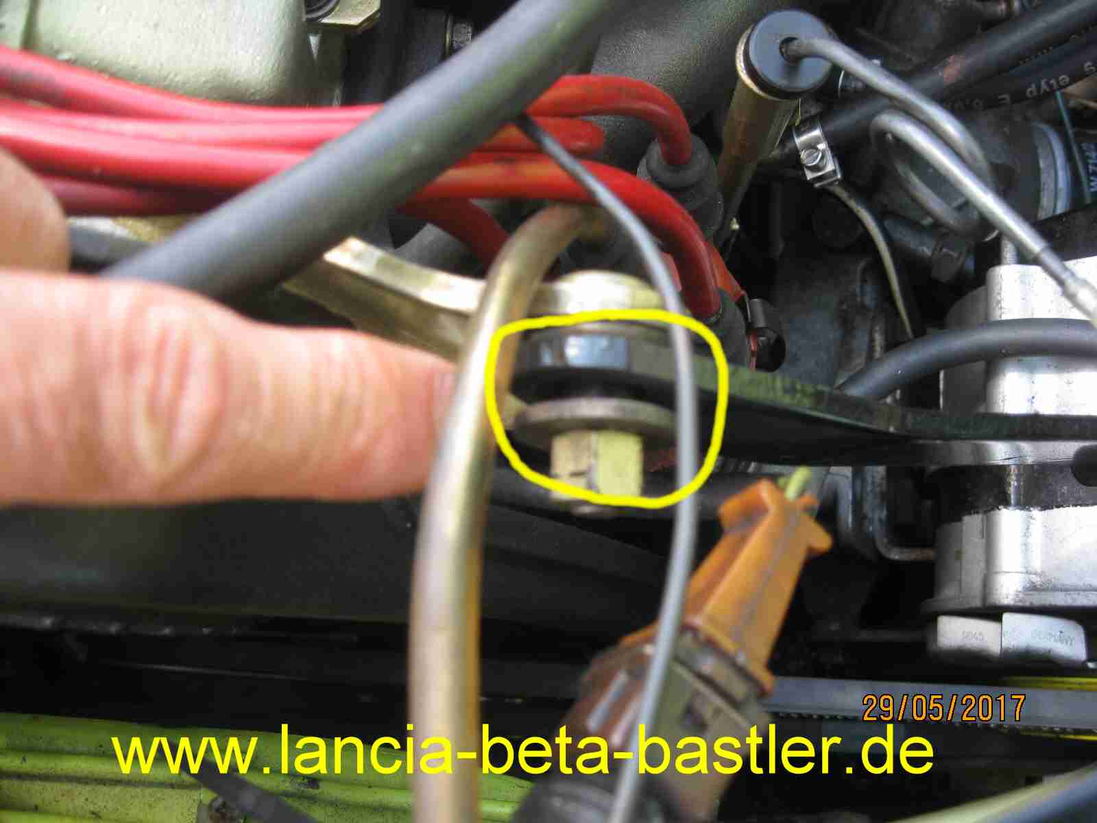 Buchse Lichtmaschine Lancia Beta