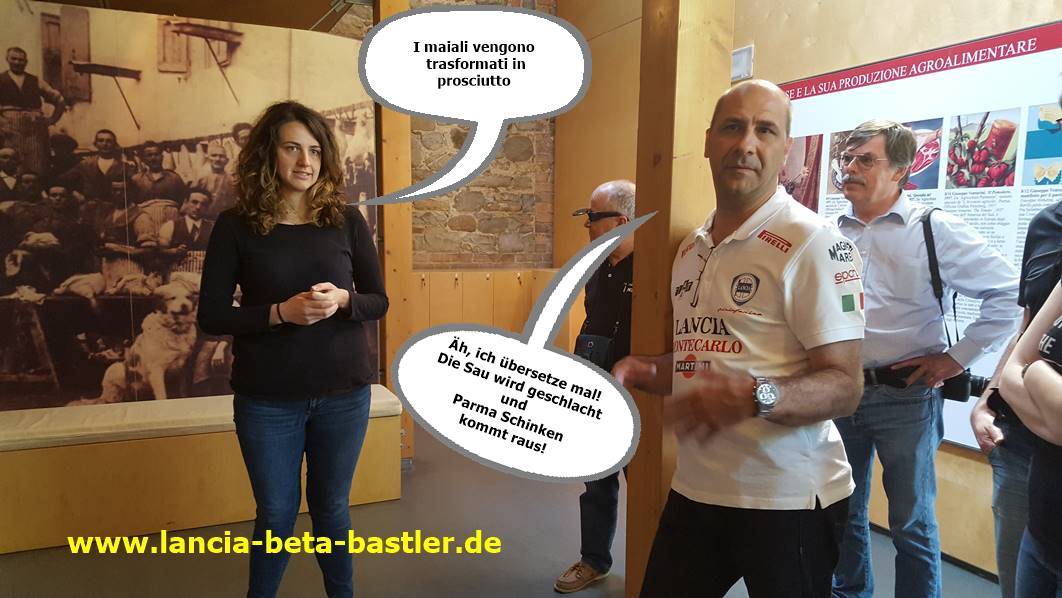 Der Übersetzer Der Übersetzer