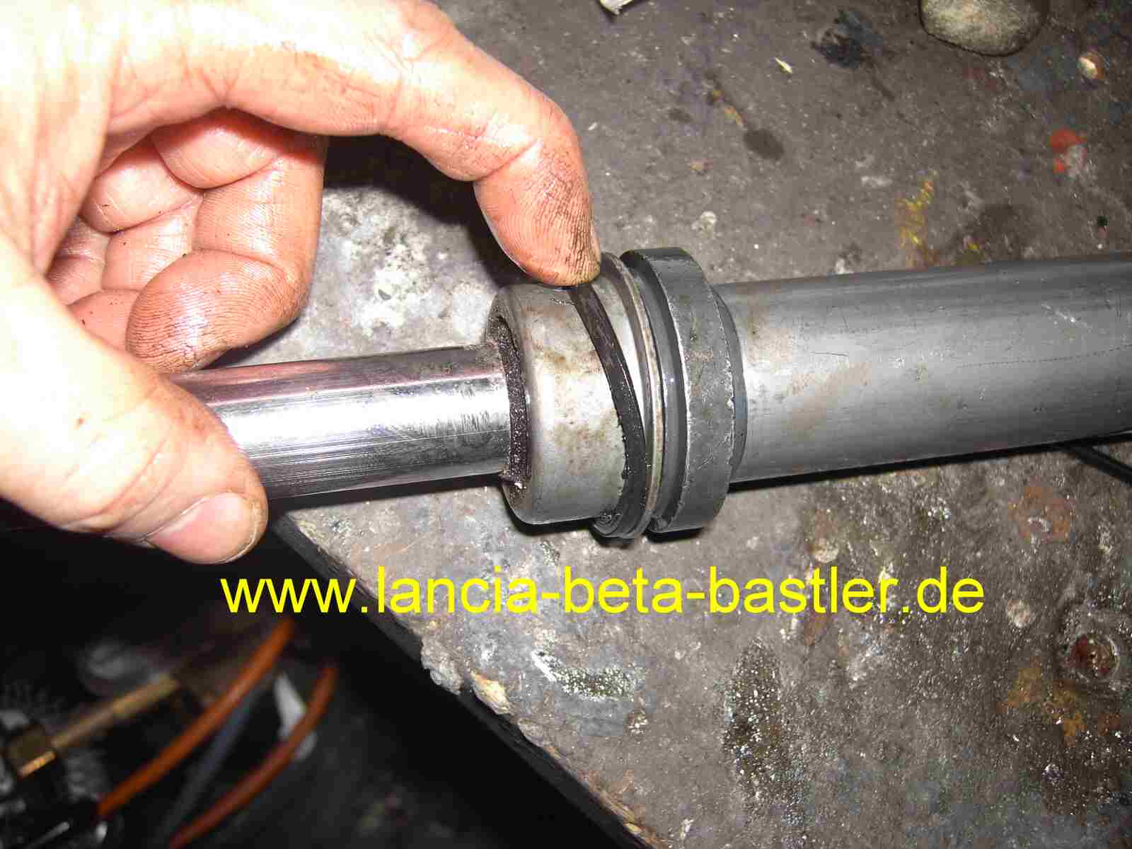 Dichtung Stossdämpfer Lancia Beta Dichtung Stossdämpfer Lancia Beta