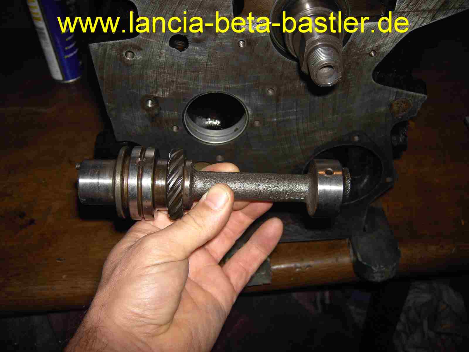 Gekürzte Nebenwelle Fiat 124 Gekürzte Nebenwelle Fiat 124