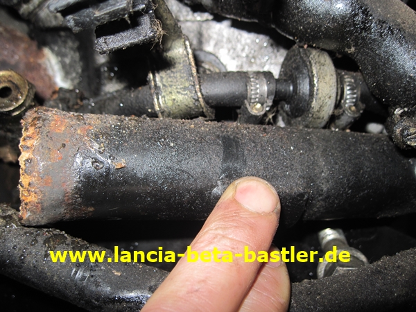 IMG_0260 IMG_0260