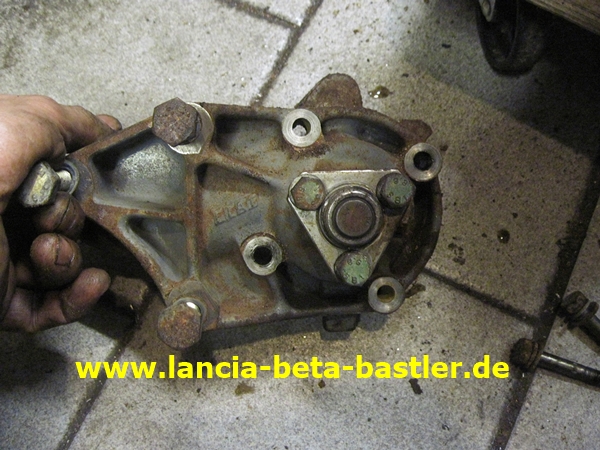IMG_0380 IMG_0380