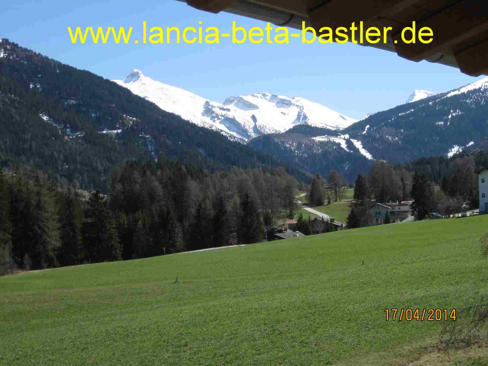 IMG_0395 IMG_0395