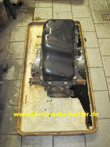 IMG_0405 IMG_0405