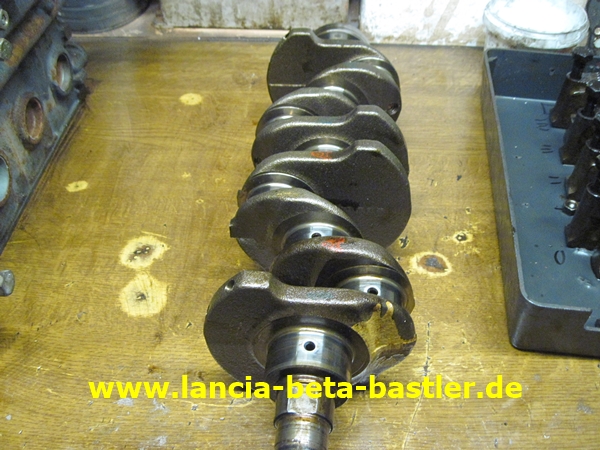 IMG_0440 IMG_0440