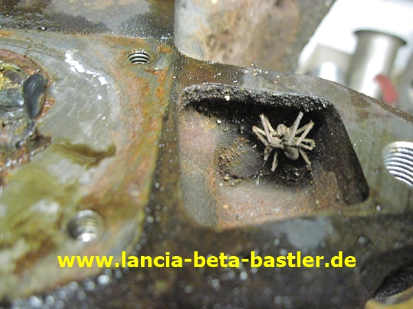 IMG_0444 IMG_0444
