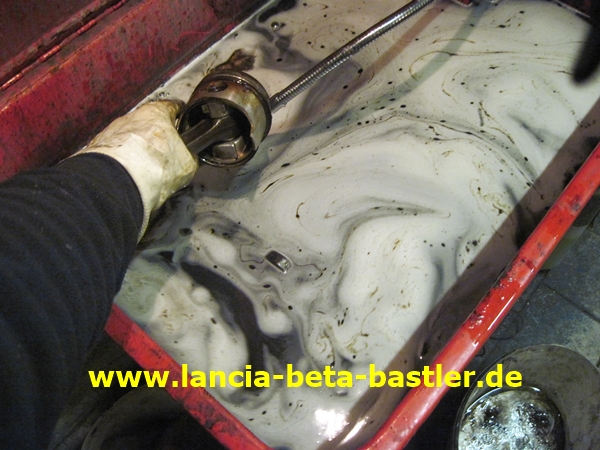 IMG_0457 IMG_0457