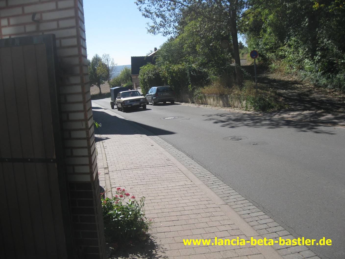 IMG_1117 IMG_1117