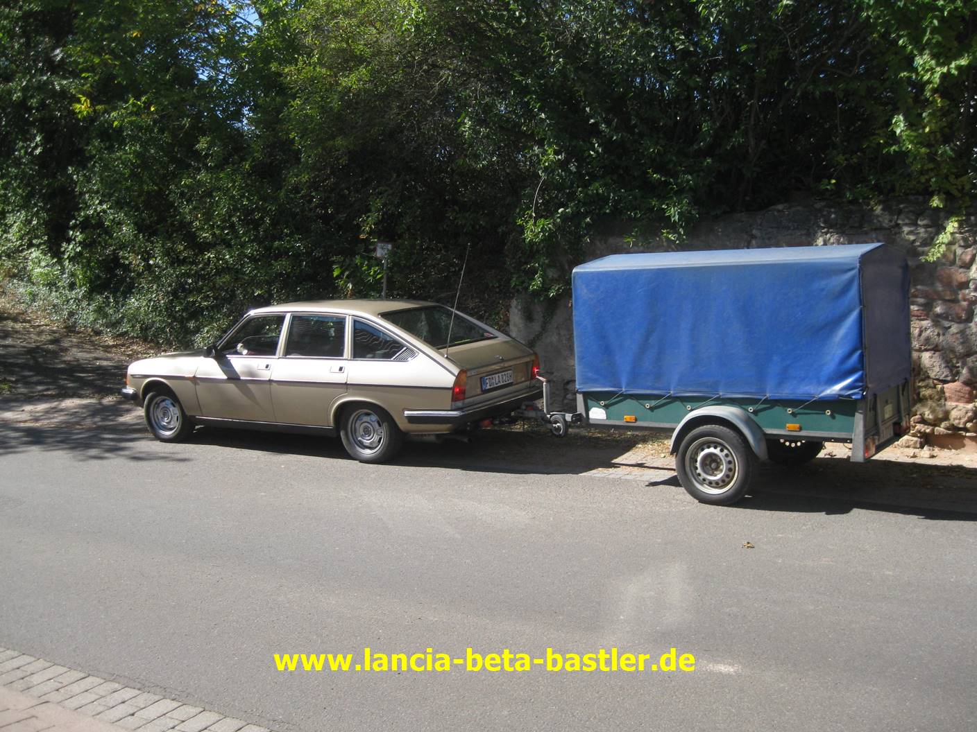 IMG_1124 IMG_1124