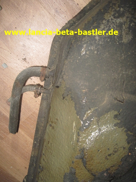 IMG_2389 IMG_2389