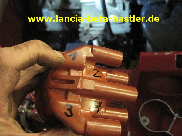 IMG_3613 IMG_3613