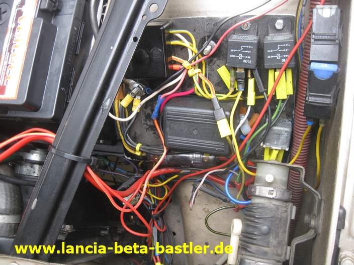 IMG_3679 IMG_3679