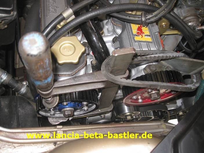 IMG_3696 IMG_3696