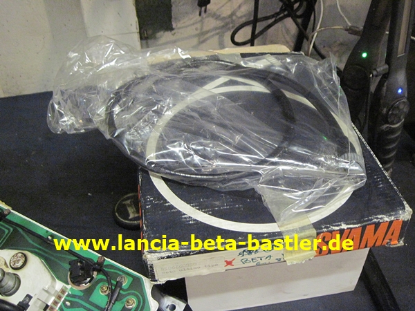IMG_3727 IMG_3727