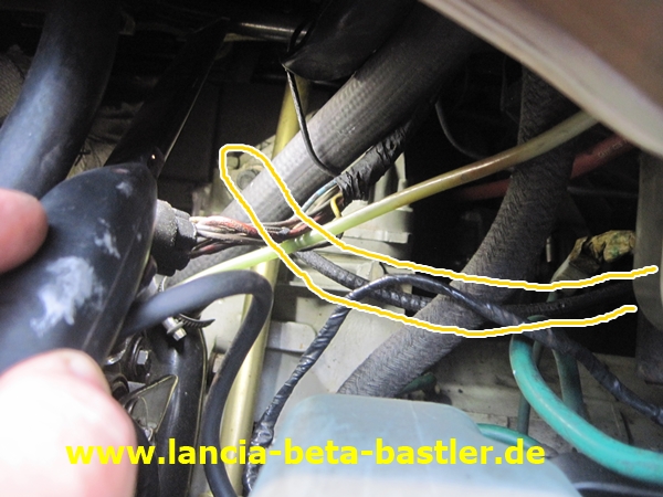 IMG_3762 IMG_3762