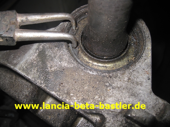 IMG_3918 IMG_3918