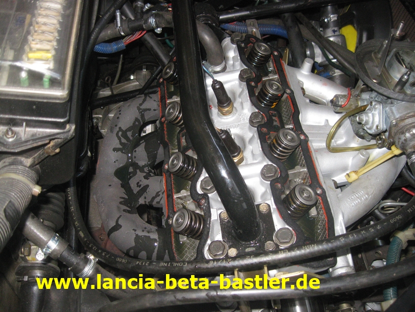 IMG_4037 IMG_4037