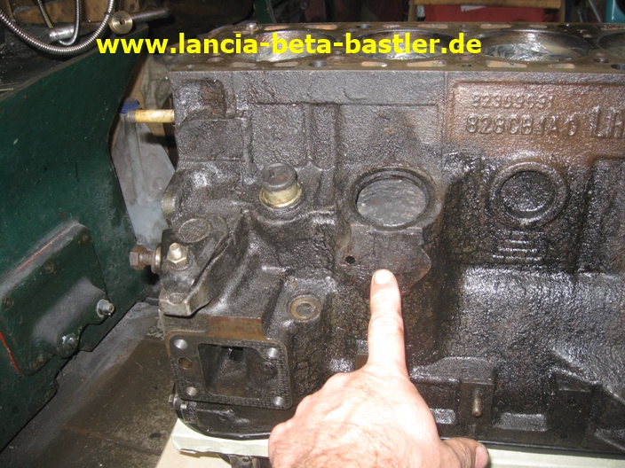 IMG_4392 IMG_4392