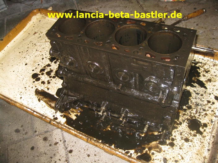 IMG_4655 IMG_4655