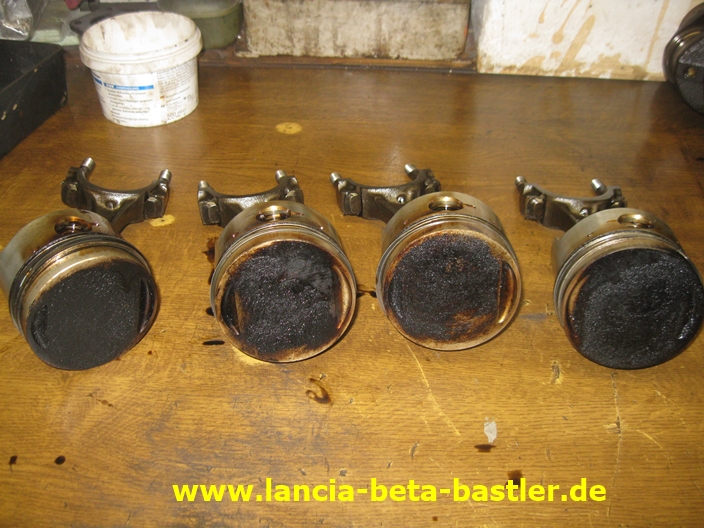 IMG_4724 IMG_4724