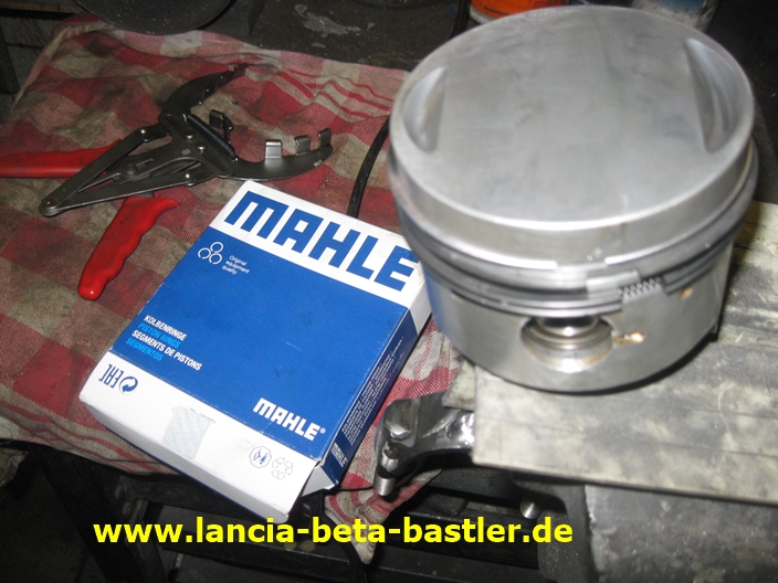 IMG_4766 IMG_4766
