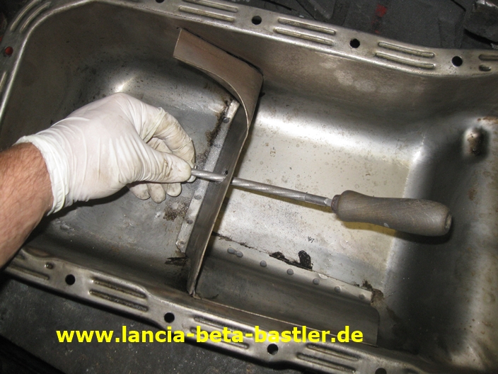 IMG_4828 IMG_4828