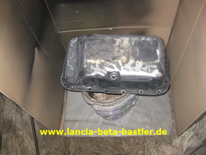 IMG_4831 IMG_4831