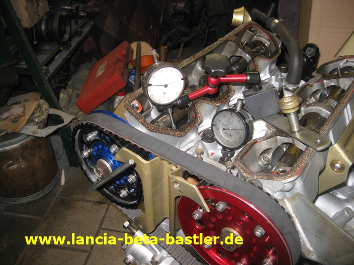 IMG_4865 IMG_4865