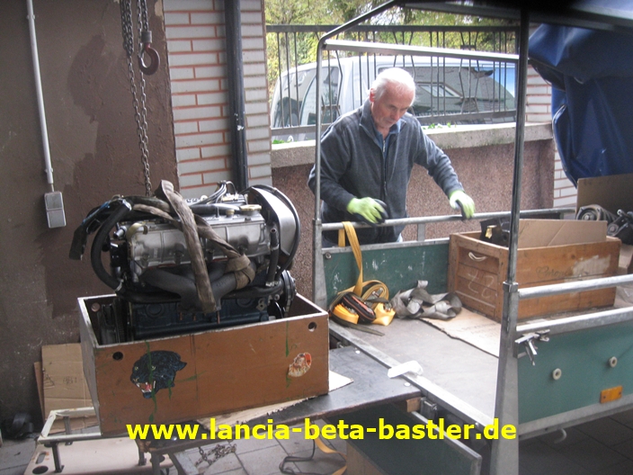 IMG_4917 IMG_4917