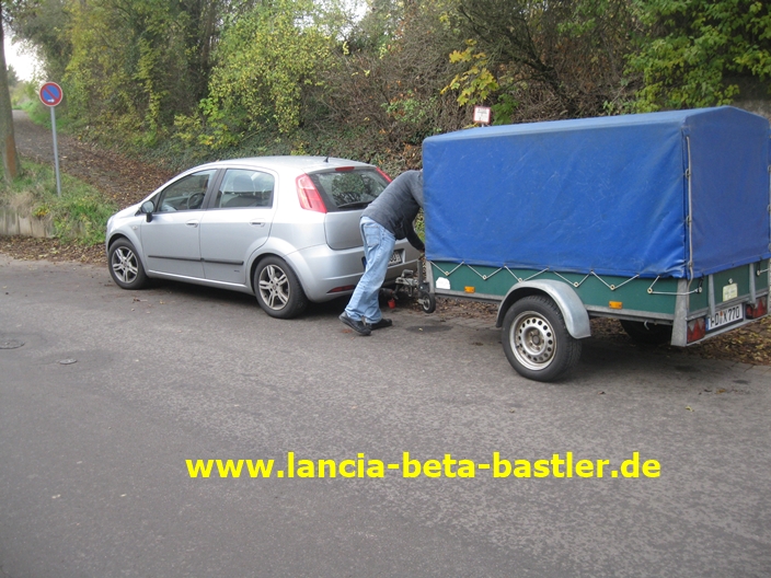 IMG_4919 IMG_4919