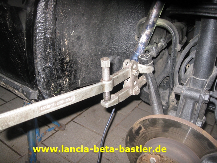IMG_4952 IMG_4952