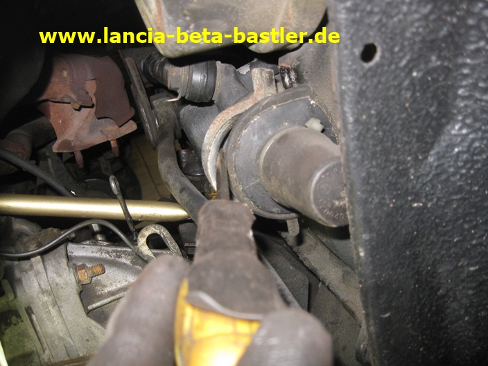 IMG_4970 IMG_4970