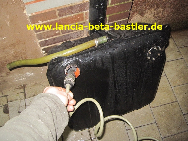 IMG_5131 IMG_5131