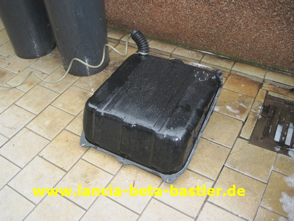 IMG_5193 IMG_5193