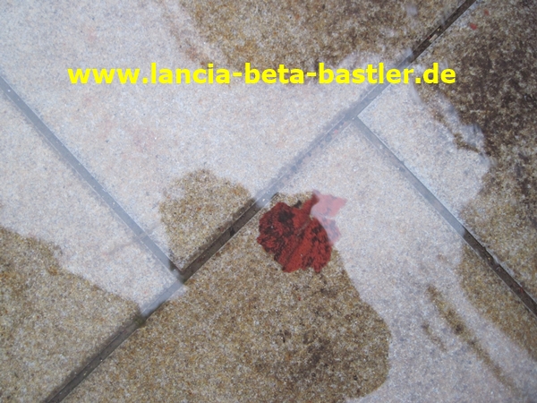 IMG_5195 IMG_5195