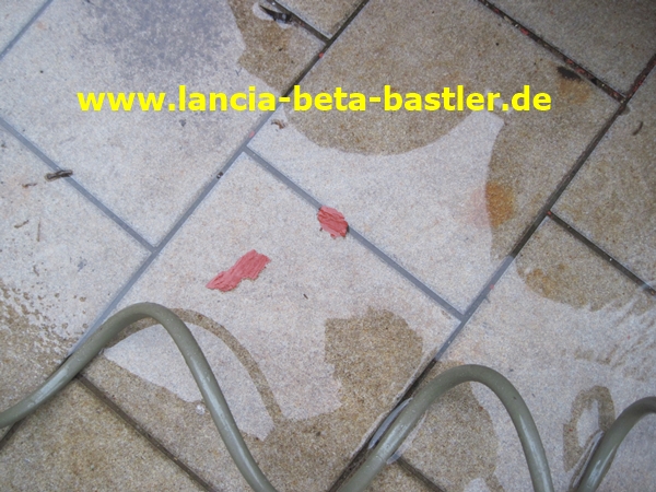 IMG_5196 IMG_5196