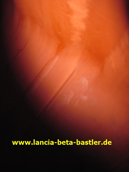 IMG_5319 IMG_5319