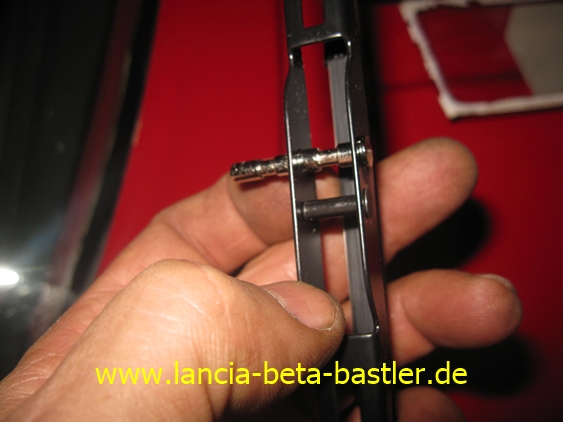 IMG_5747 IMG_5747