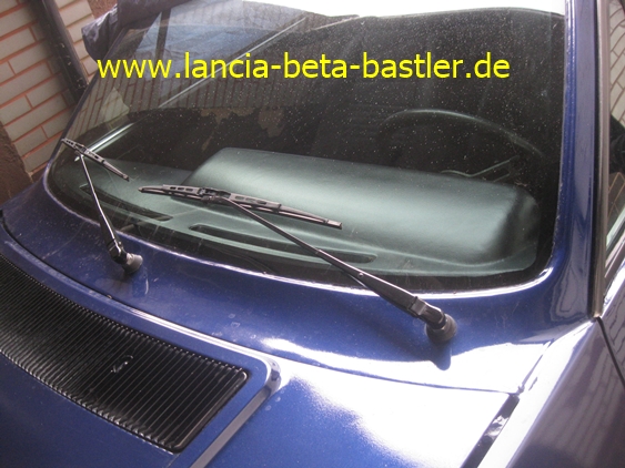 IMG_5752 IMG_5752