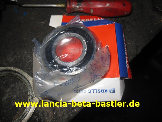 IMG_5944 IMG_5944
