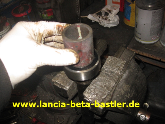 IMG_5949 IMG_5949