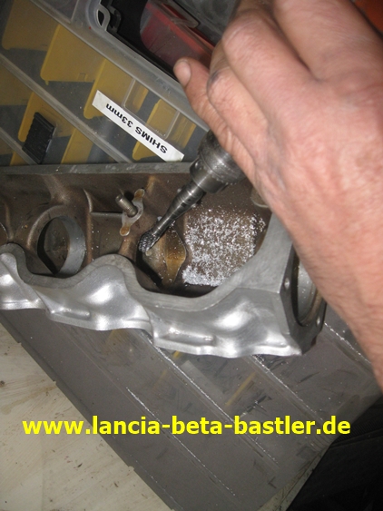 IMG_6337 IMG_6337