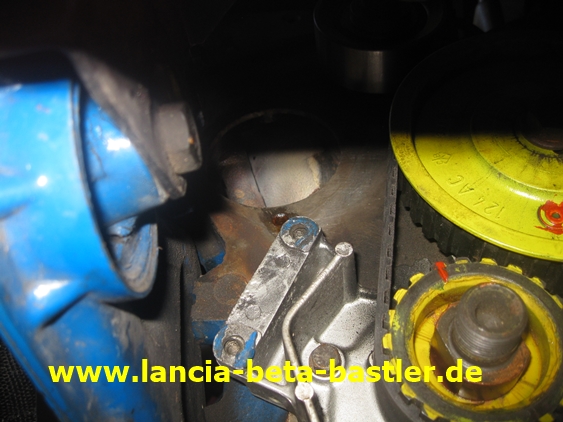 IMG_6508 IMG_6508