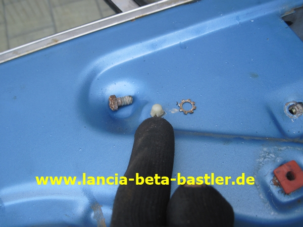 IMG_6548 IMG_6548