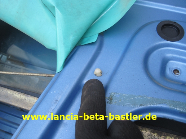 IMG_6550 IMG_6550